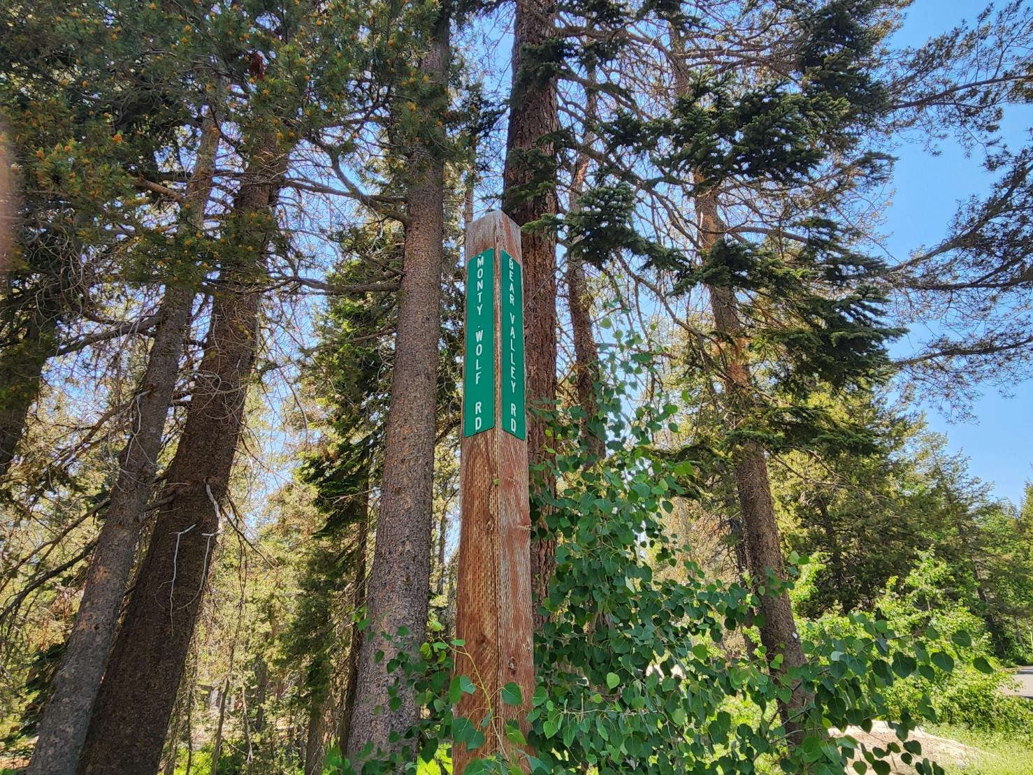 5 Monty Wolf Road Bear Valley, CA 95223 - Photo 3 of 9