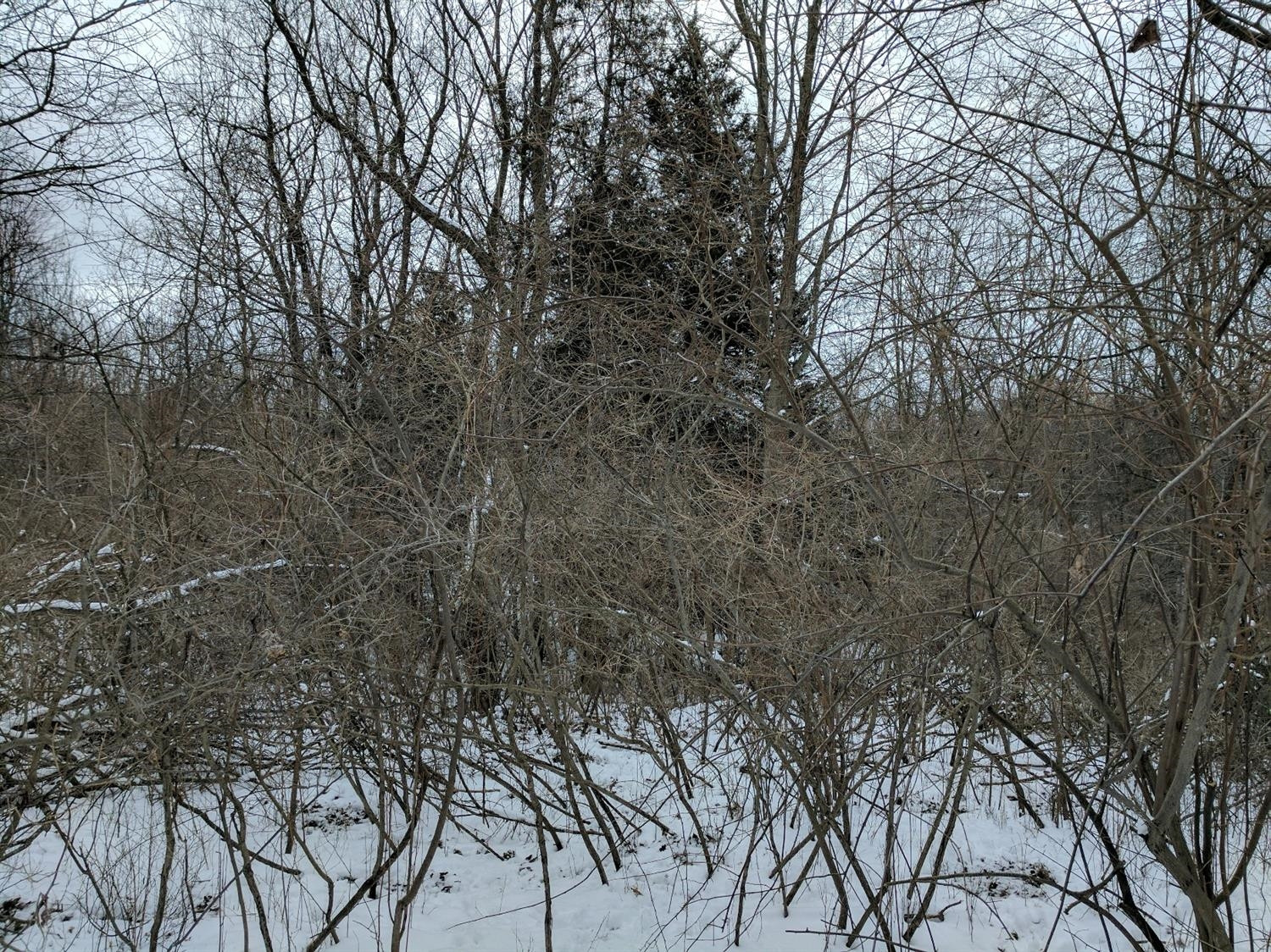 5402 Walsh Road Whitmore Lake, MI 48189 - Photo 2 of 6 Photo 2