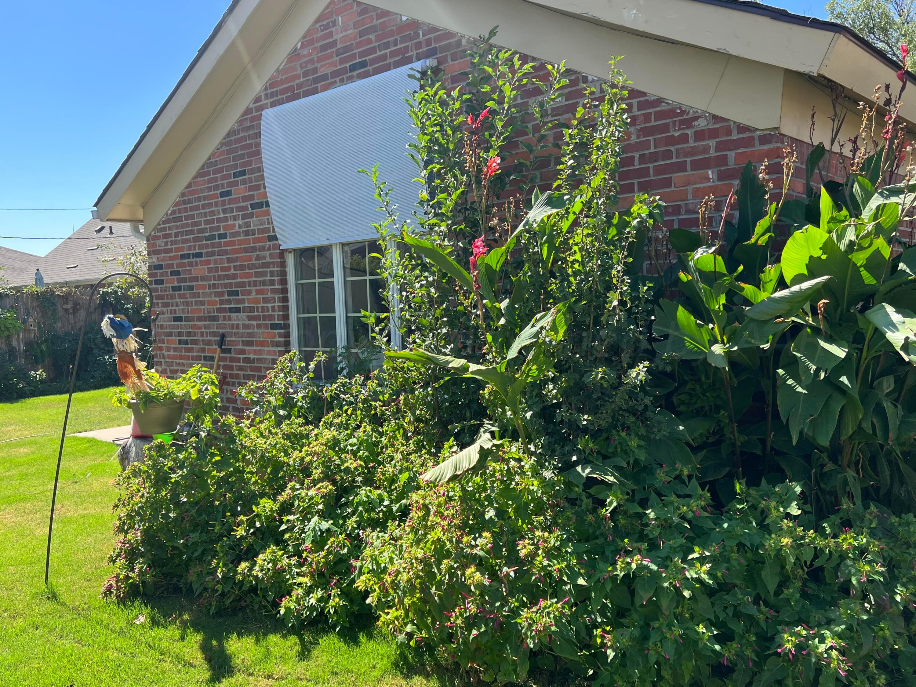 1505 Pellinore Street Borger, TX 79007 - Photo 57 of 73 a backyard with plants