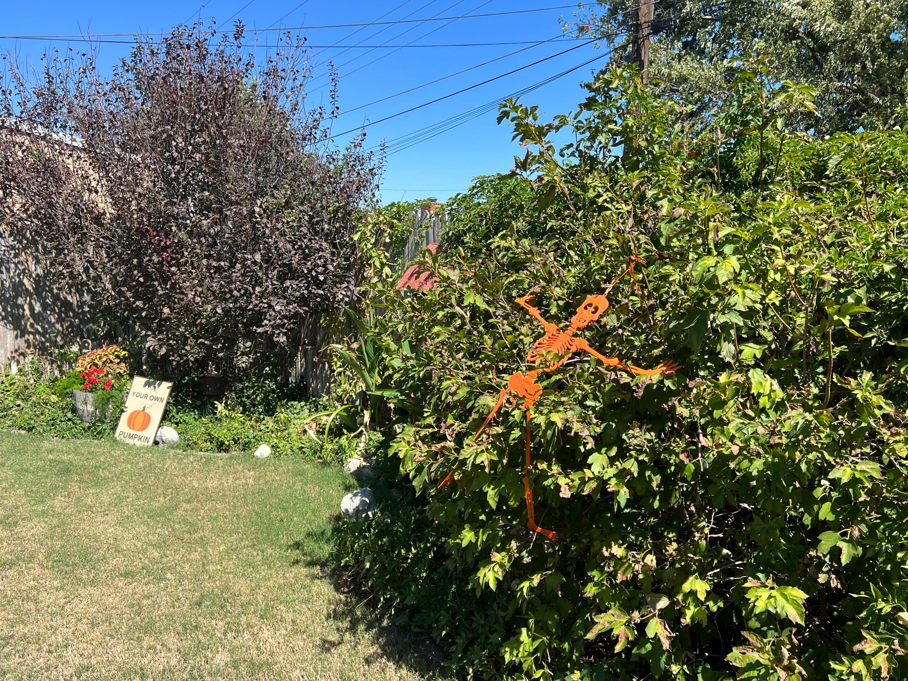 1505 Pellinore Street Borger, TX 79007 - Photo 59 of 73 a view of a house with a tree