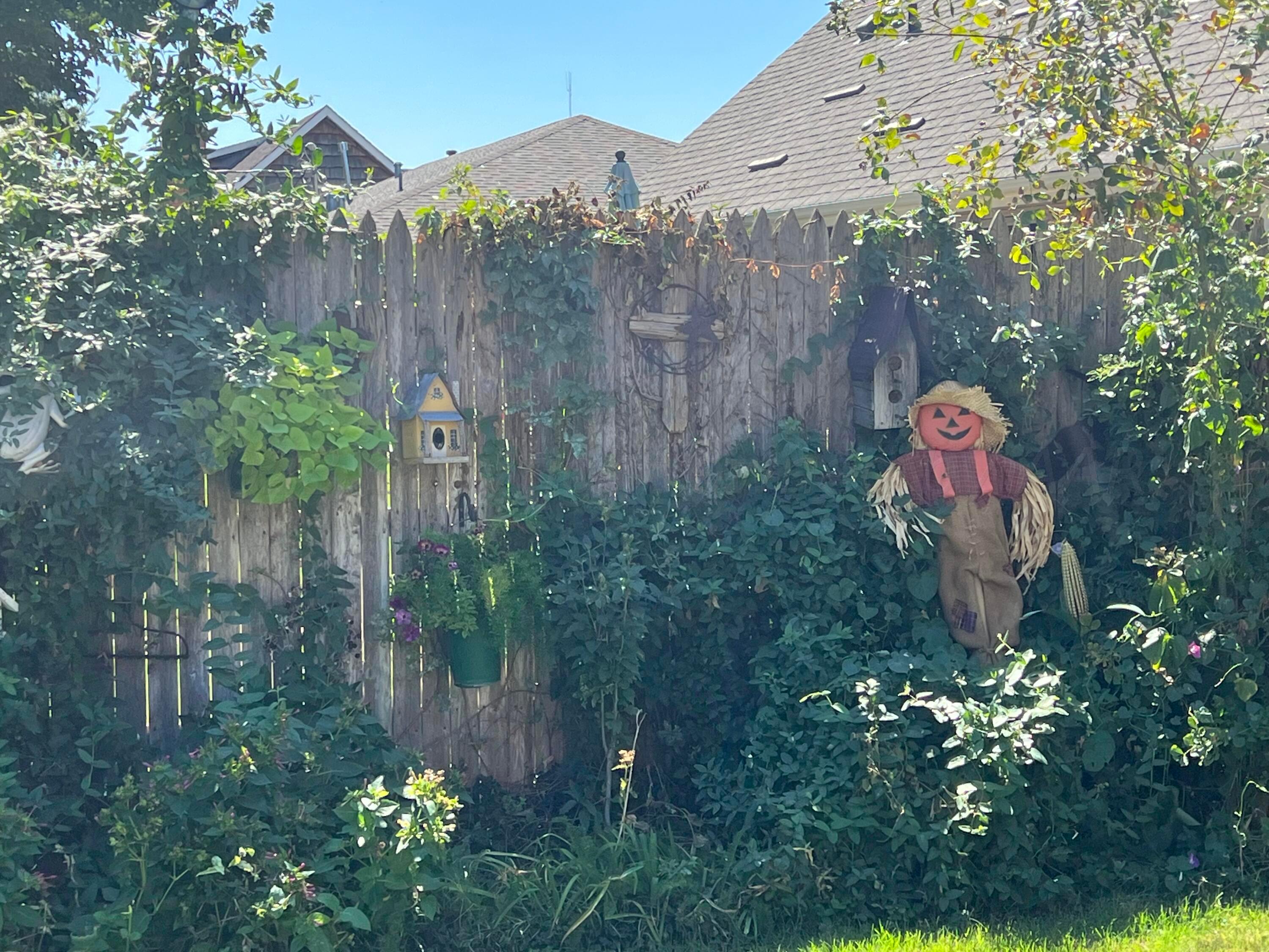 1505 Pellinore Street Borger, TX 79007 - Photo 71 of 73 a backyard of a house with lots of green space and a fountain
