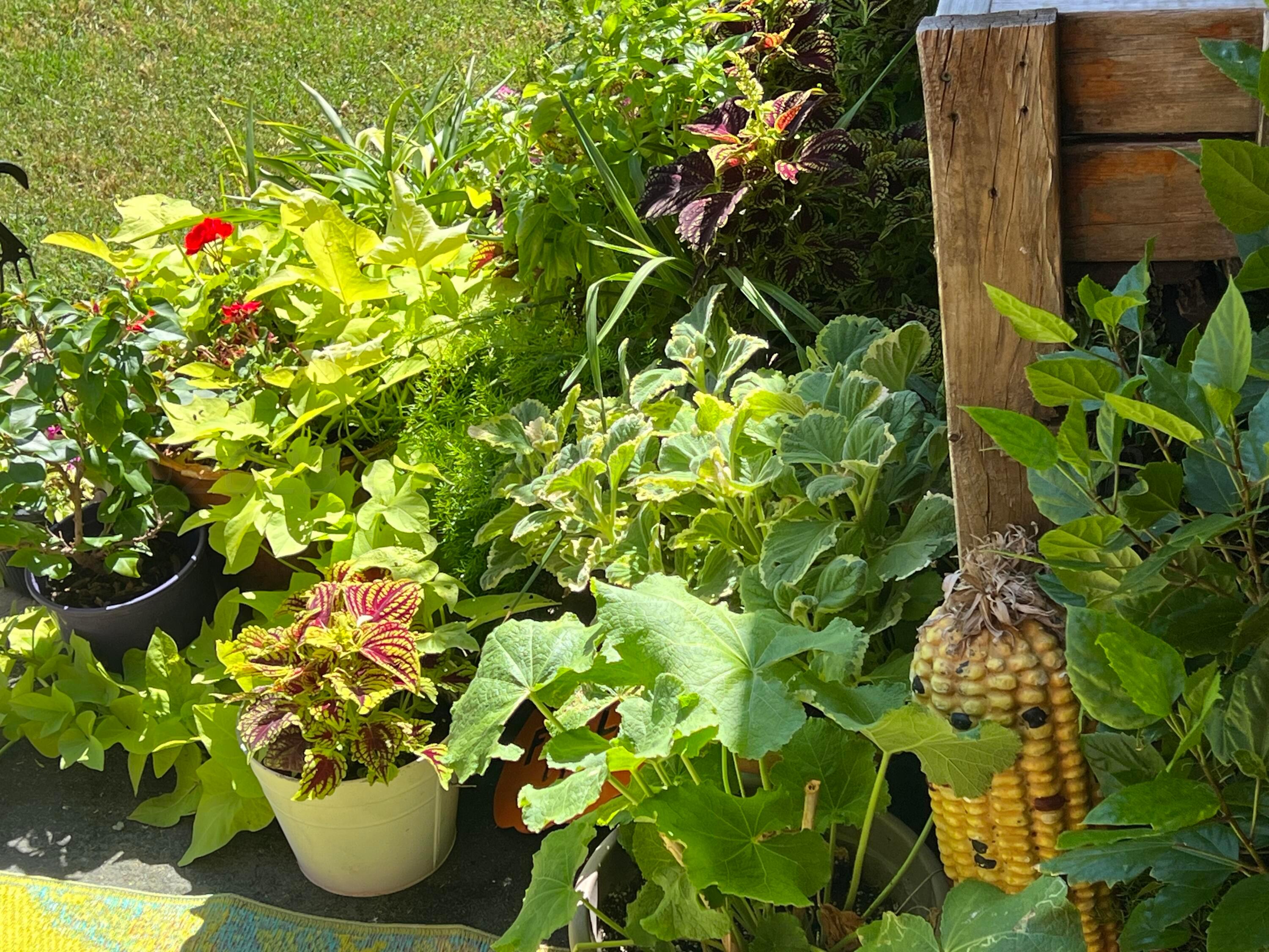 1505 Pellinore Street Borger, TX 79007 - Photo 73 of 73 1505 Pellinore St., Borger, TX