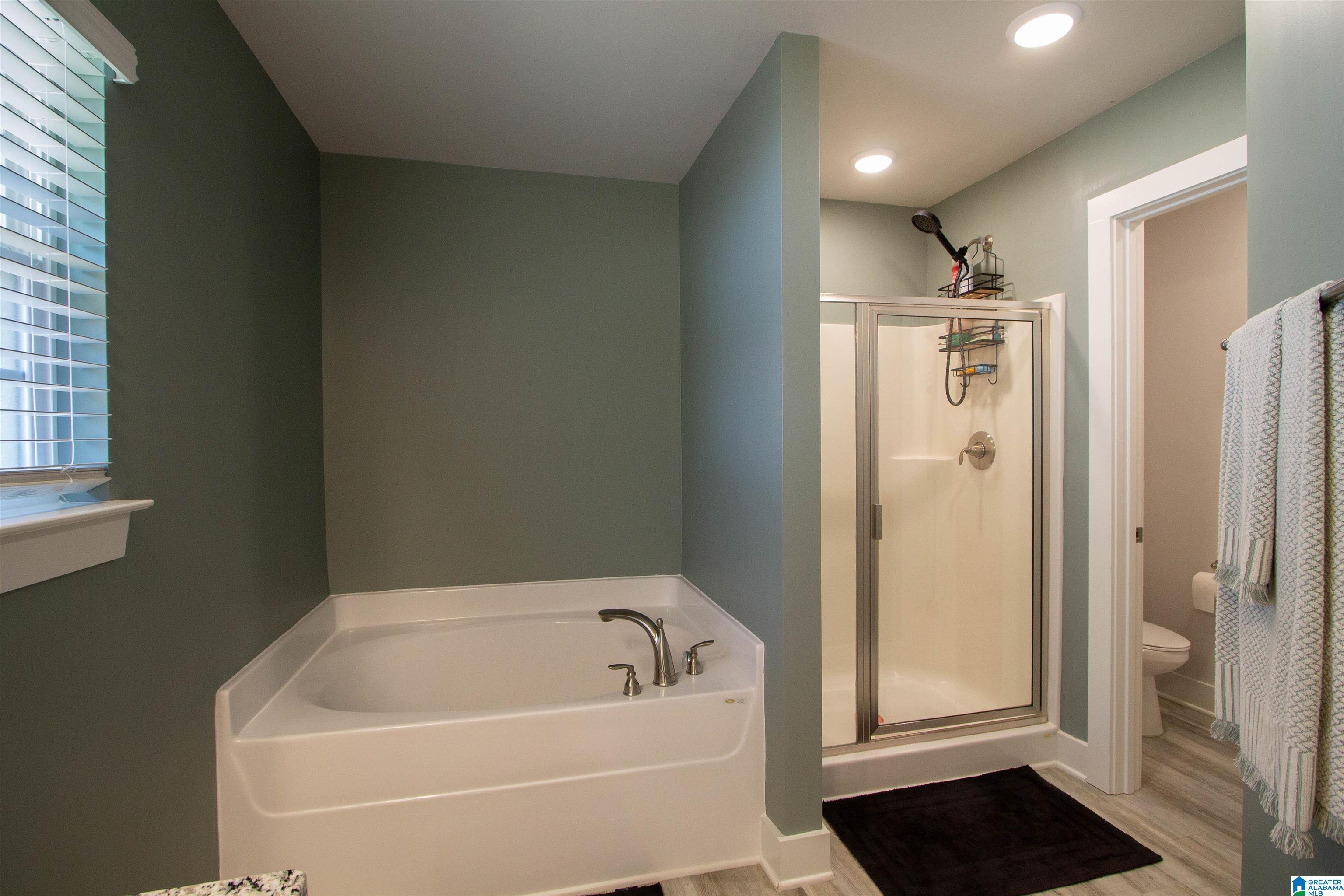 2106 Turquoise Lane Calera, AL 35040 - Photo 50 of 59