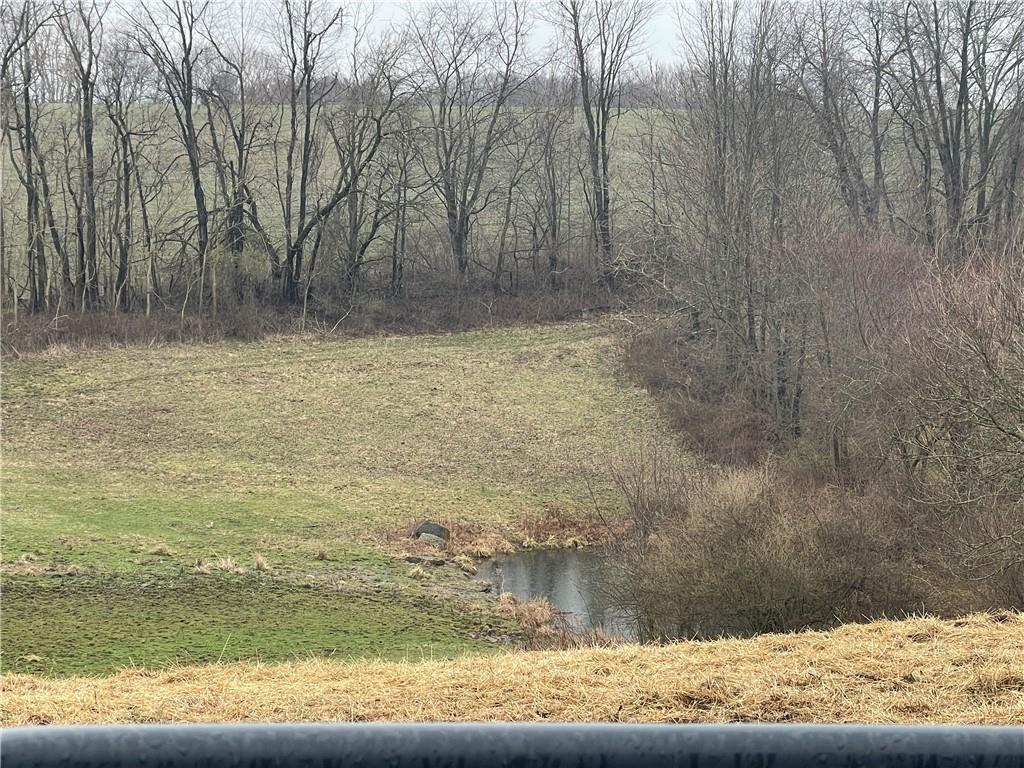 399 Hollow Road Darlington, PA 16115 - Photo 24 of 24 Gallery Image 24