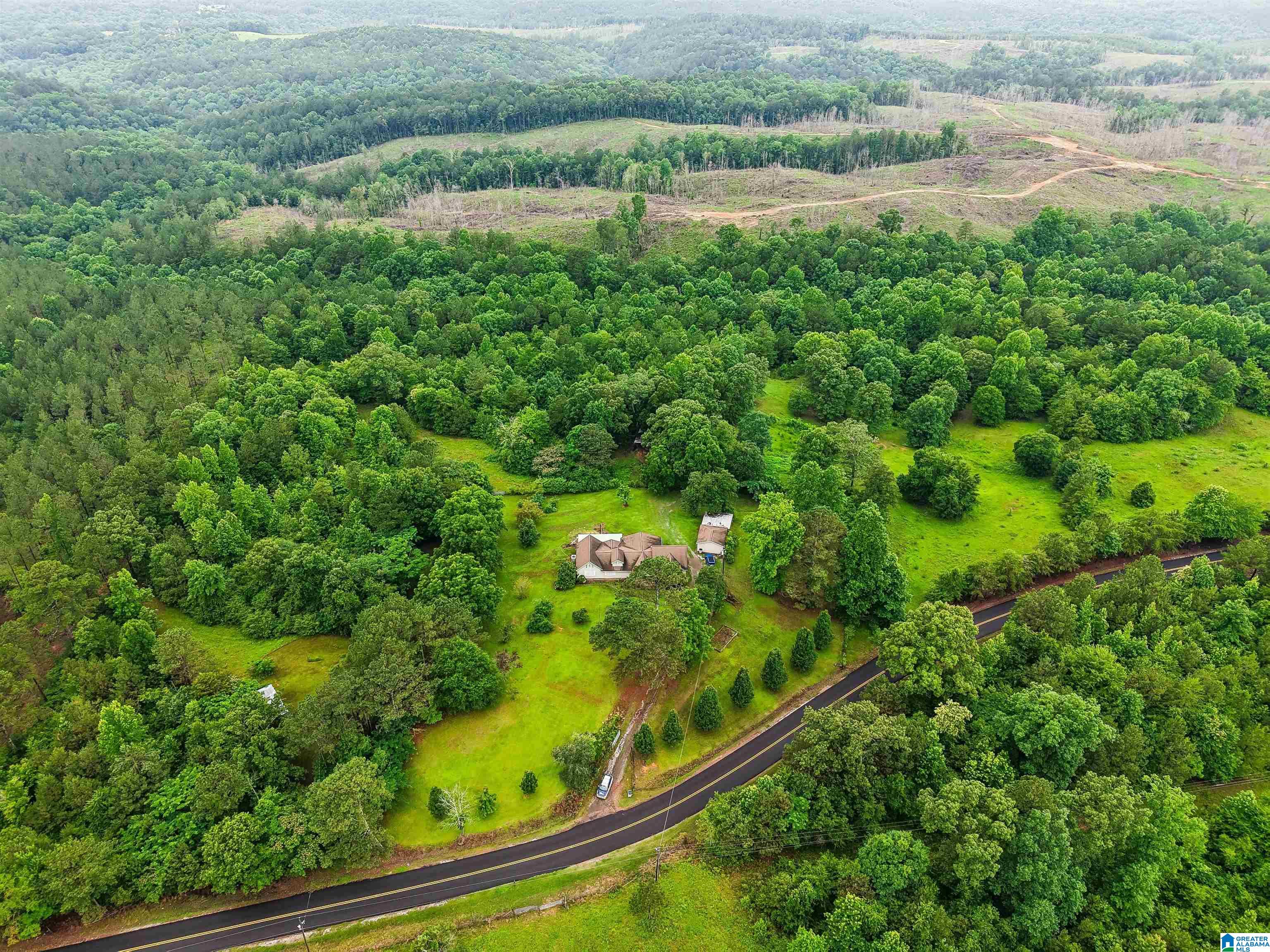 2919 Old Pineywoods Road Jasper, AL 35504 - Photo 13 of 56