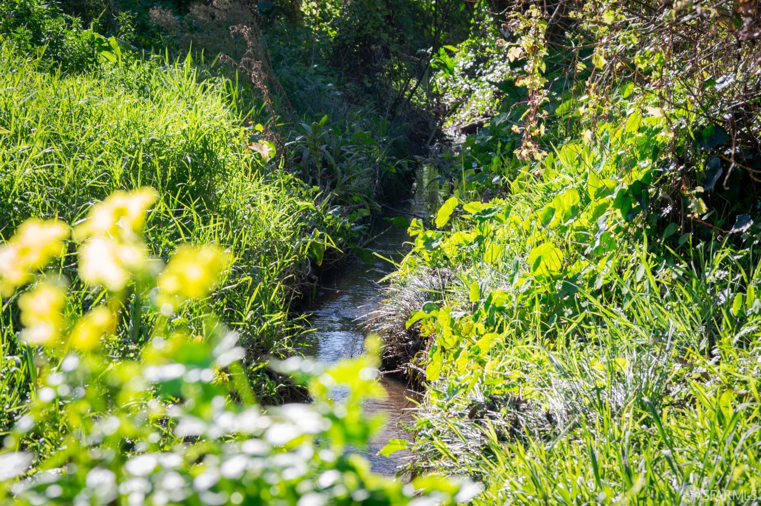 882 Stetson Street Moss Beach, CA 94038 - Photo 30 of 31