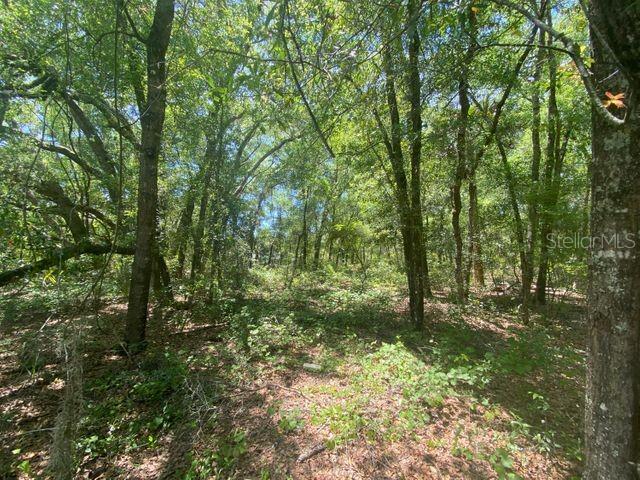 259 Putnam Loop Road Melrose, FL 32666 - Photo 1 of 1