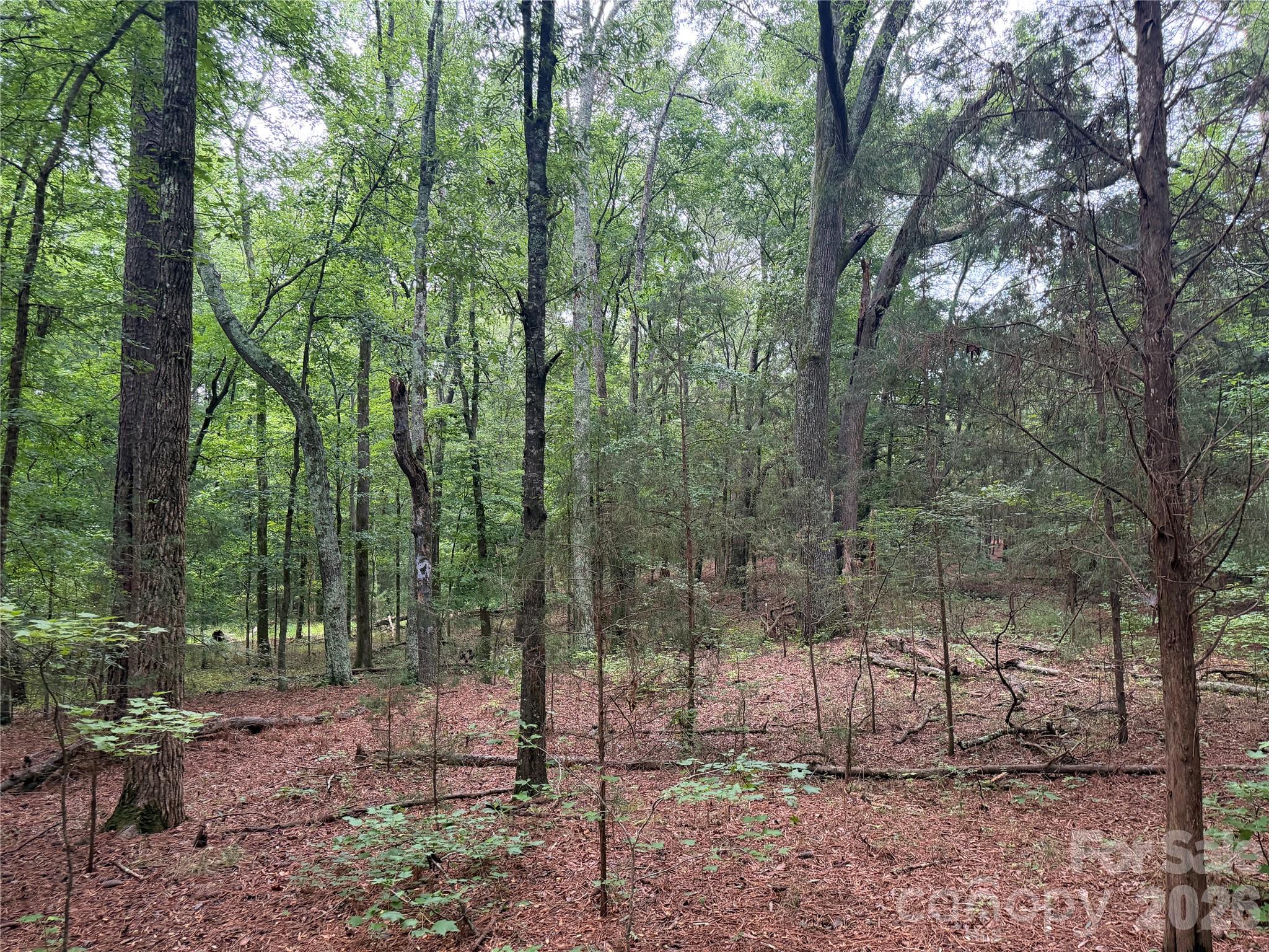 0 West Chappell Road McConnells, SC 29726 - Photo 27 of 35 Gallery Image 27