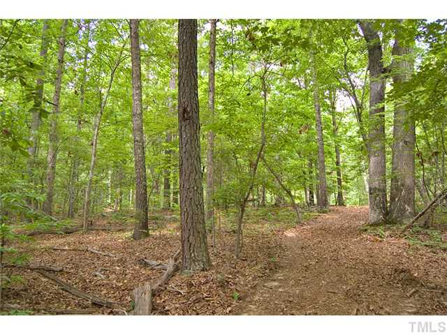 2 Billets Run, Unit 2 Moncure, NC 27559 - Photo 4 of 5 Will perk for four bedrooms. only 14 miles to I-540.