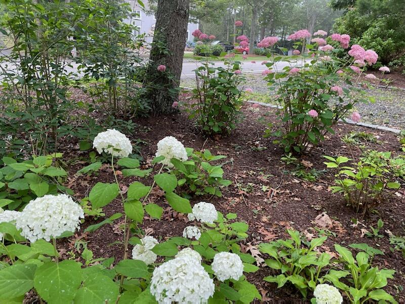 157 Greensward Road Mashpee, MA 02649 - Photo 64 of 75 IMG_9778