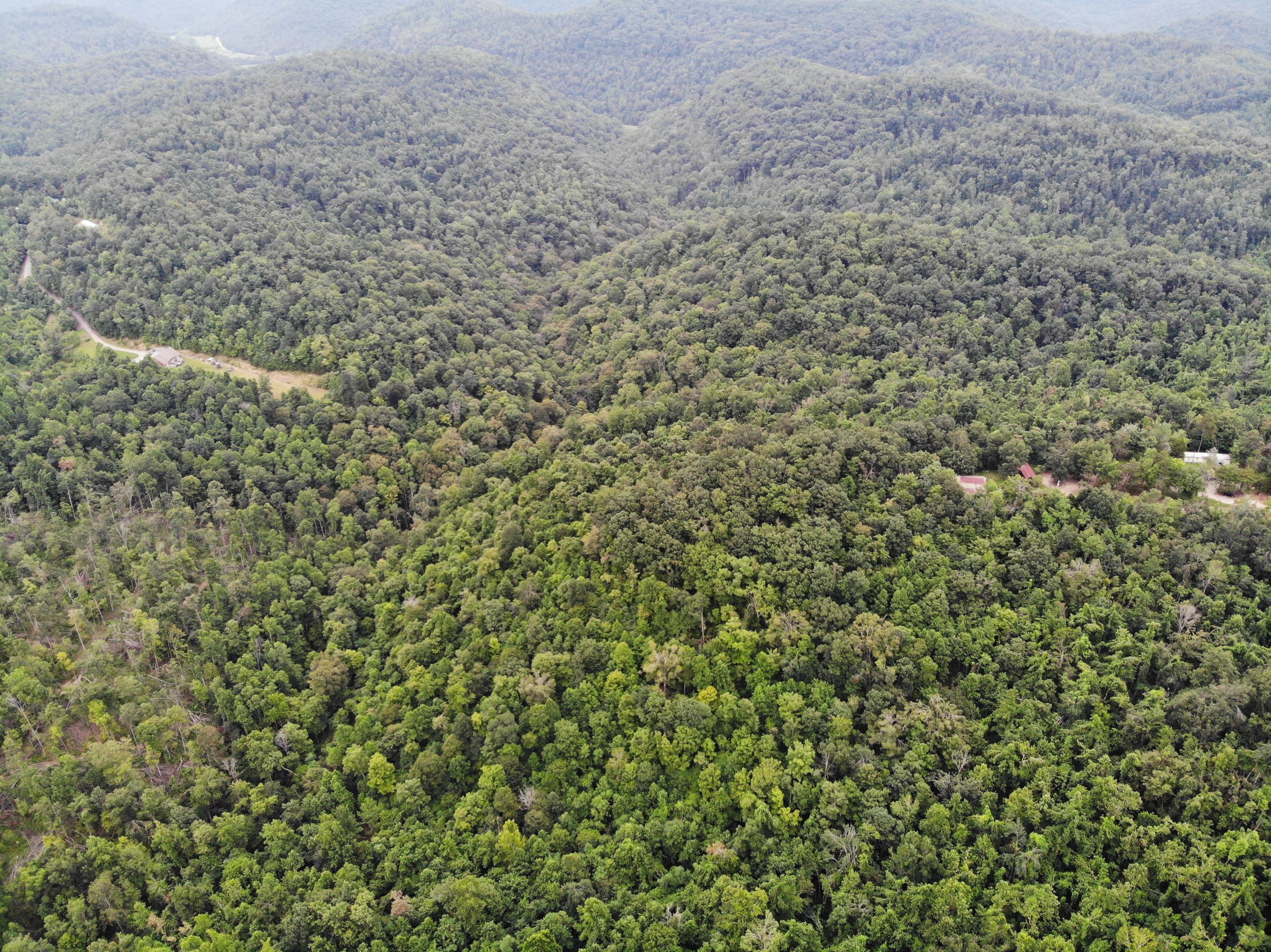 9015 McKee Road Irvine, KY 40336 - Photo 25 of 33 DJI_0980
