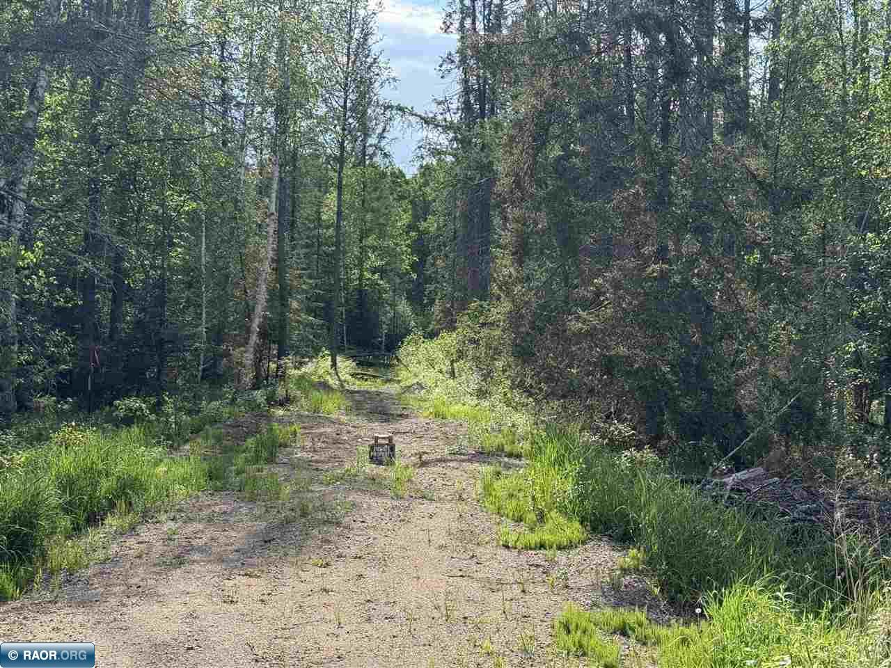 Tbd South Leighton Road Hibbing, MN 55746 - Photo 6 of 8