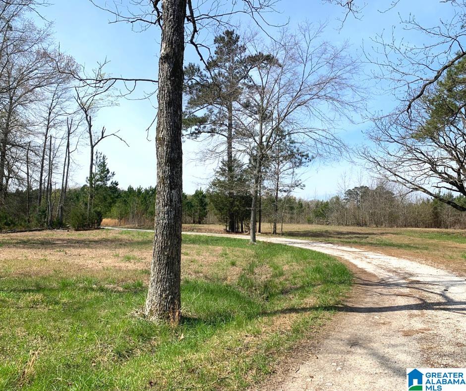 0 Alabama Highway Ohatchee, AL 36271 - Photo 2 of 10