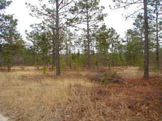 381 Chime Bell Church Road Aiken, SC 29803 - Photo 1 of 1 Gallery Image 1