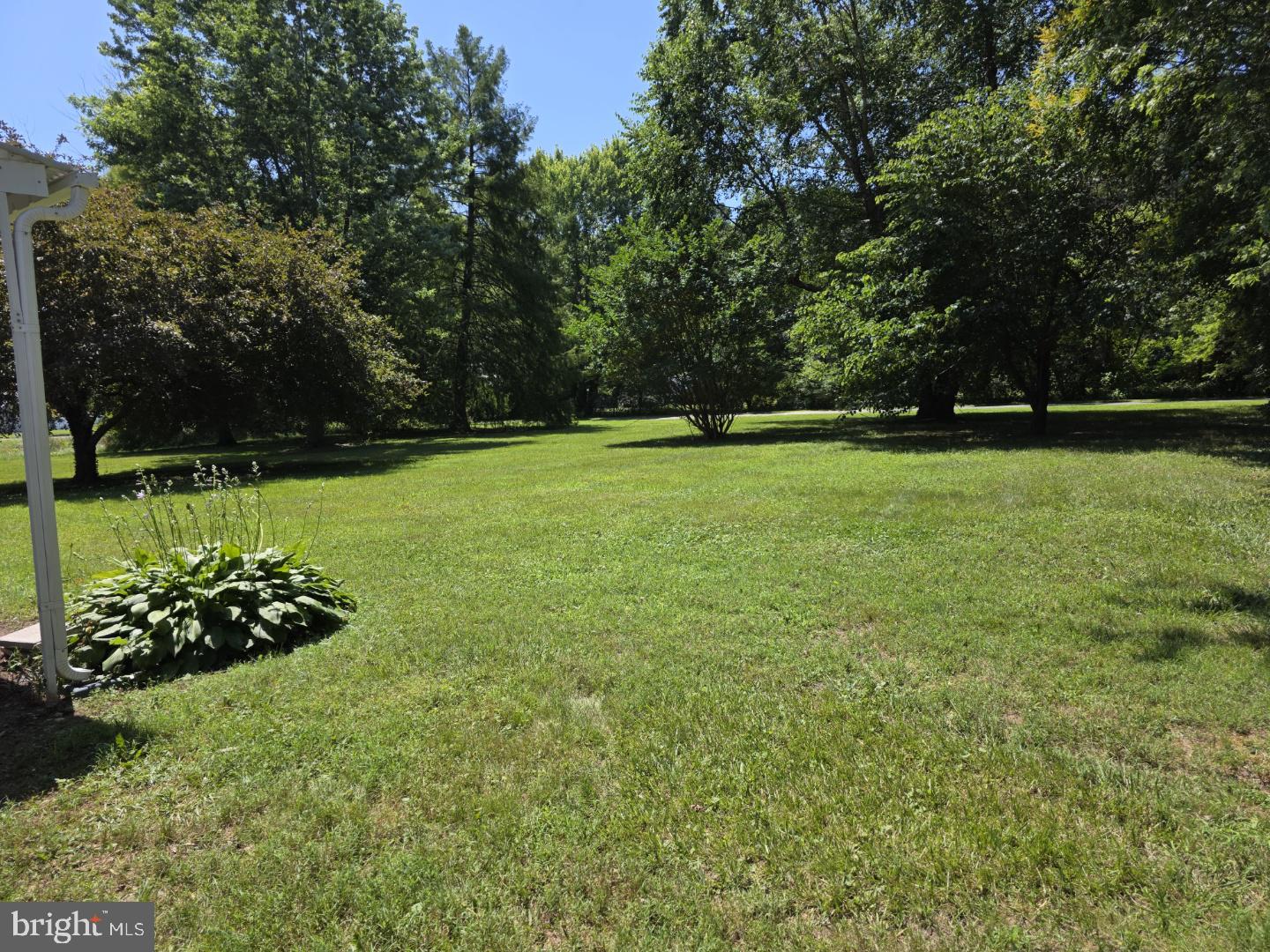 2900 Central Road Cambridge, MD 21613 - Photo 15 of 15 Large tard