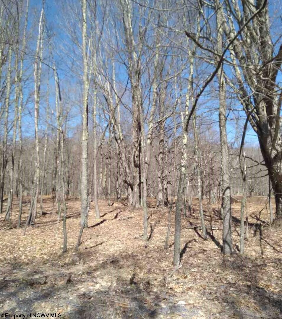 22 Deer Ridge Road Davis, WV 26260 - Photo 4 of 5 Gallery Image 4