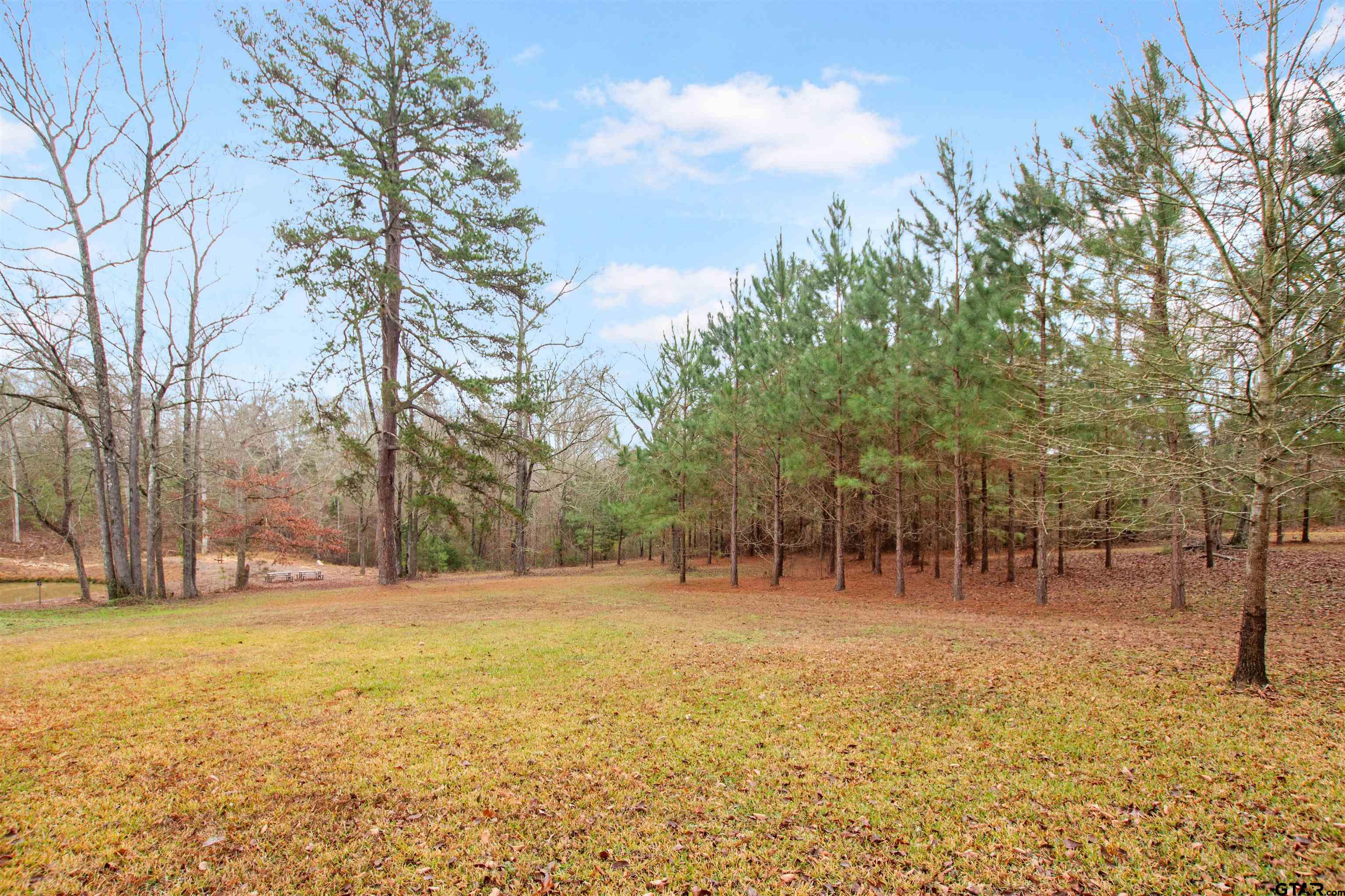 782 Rosie Wady Road Gladewater, TX 75647 - Photo 33 of 41 a view of open space with a garden