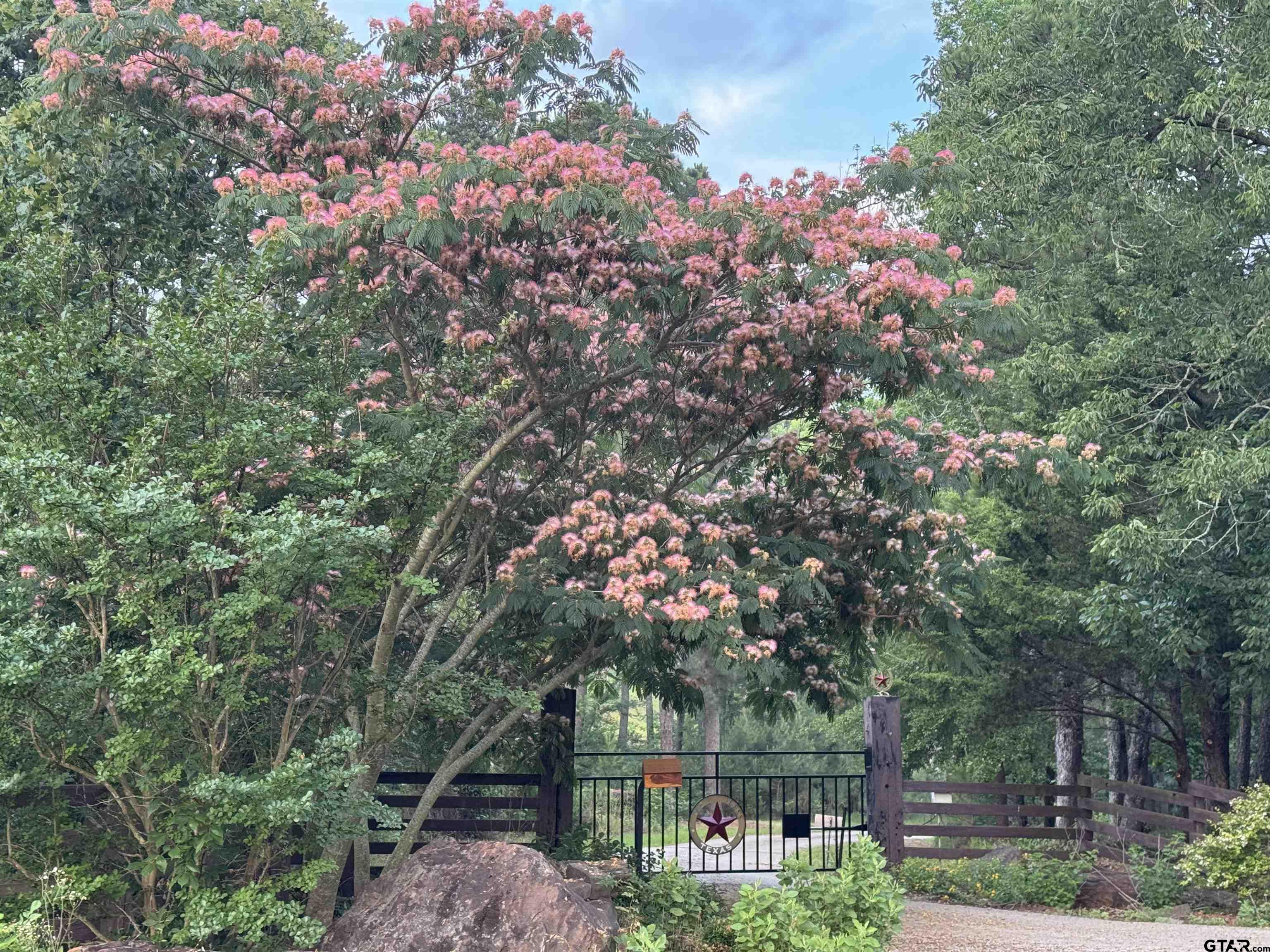 782 Rosie Wady Road Gladewater, TX 75647 - Photo 38 of 41 a front view of a house with a tree