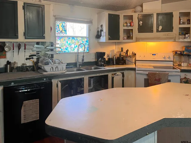 a kitchen with a sink a stove and cabinets