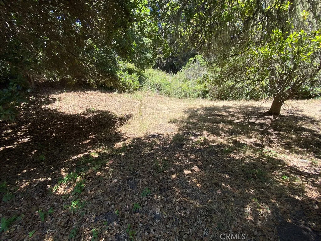 0 Kent Cambria, CA 93428 - Photo 3 of 8 a view of a tree with a yard