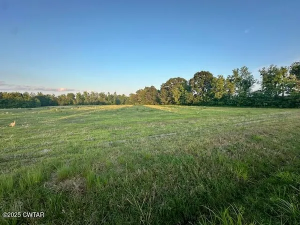 a view of a field with an ocean