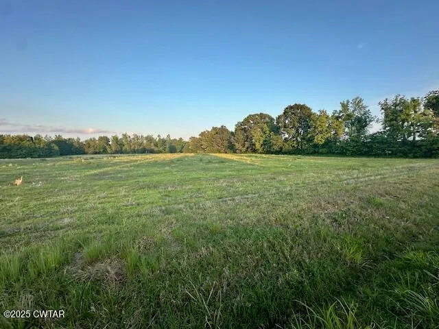a view of a field with an ocean