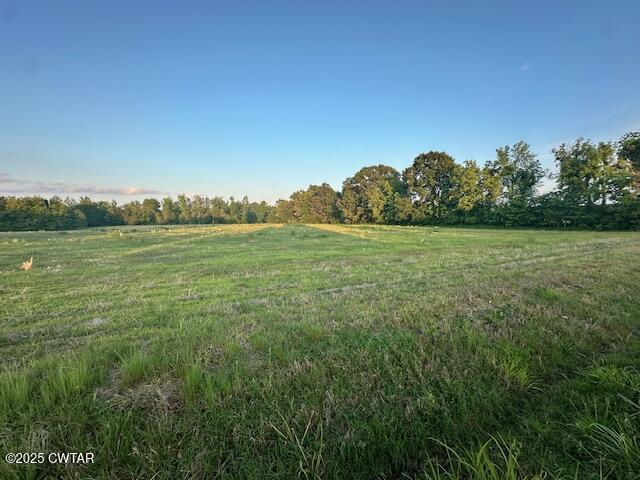 0 Old Trezevant Road Atwood, TN 38220 - Photo 1 of 12 a view of a field with an ocean