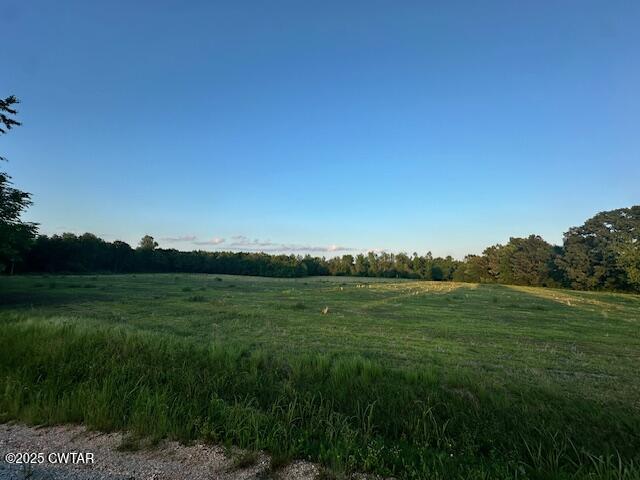 0 Old Trezevant Road Atwood, TN 38220 - Photo 11 of 12 a view of an ocean from a yard