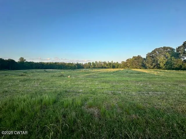 a view of a field with an ocean