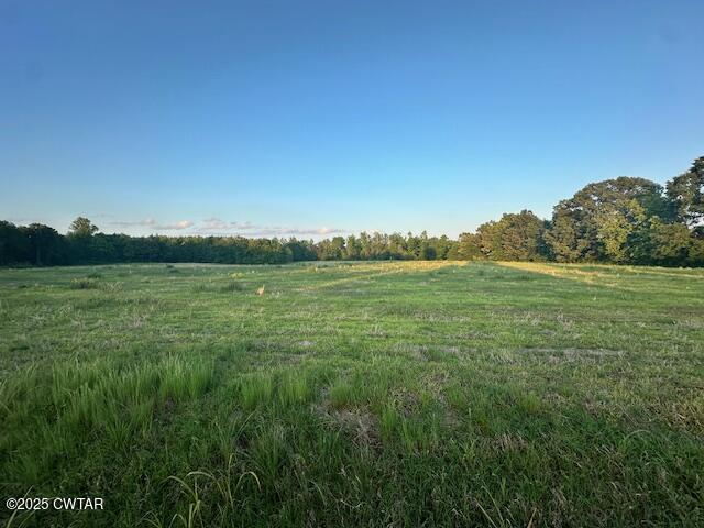 0 Old Trezevant Road Atwood, TN 38220 - Photo 2 of 12 a view of a field with an ocean