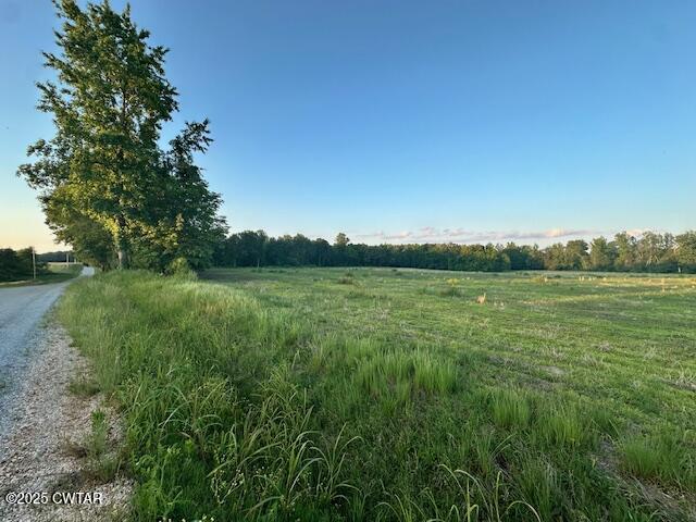 0 Old Trezevant Road Atwood, TN 38220 - Photo 4 of 12 a view of a field with grass and a tree