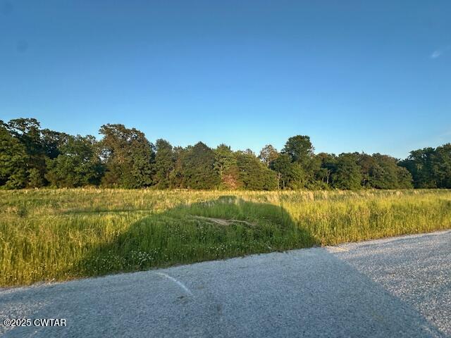 0 Old Trezevant Road Atwood, TN 38220 - Photo 5 of 12 a view of a lake with a city