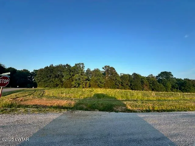 a view of a field with trees in the background