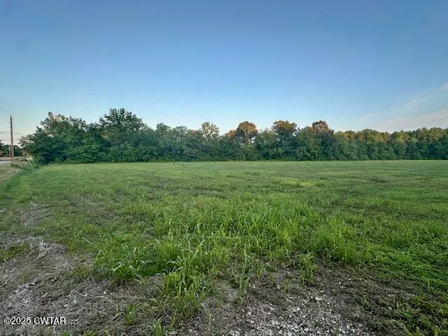 a view of a field with trees in background