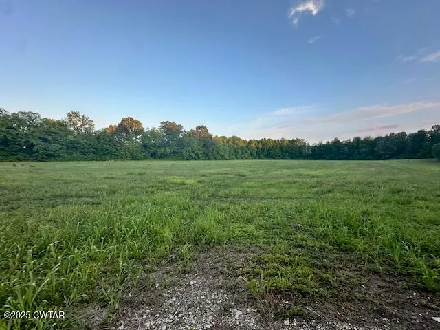 a view of a field with grass and trees