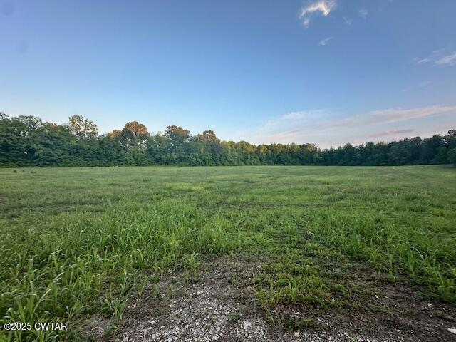0 Old Trezevant Road Atwood, TN 38220 - Photo 8 of 12 a view of a field with trees in background