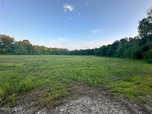 0 Old Trezevant Road Atwood, TN 38220 - Photo 9 of 12 a view of a field with grass and trees