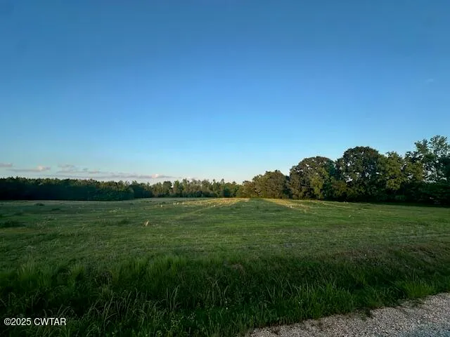 a view of an ocean from a yard