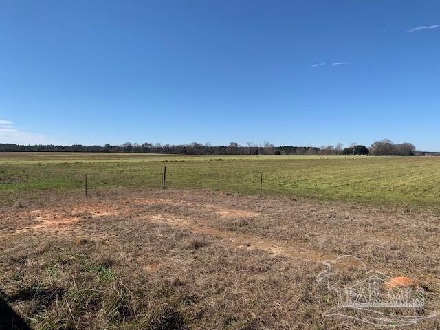 3055 Cowpen Creek Road Atmore, AL 36502 - Photo 18 of 20 Gallery Image 18
