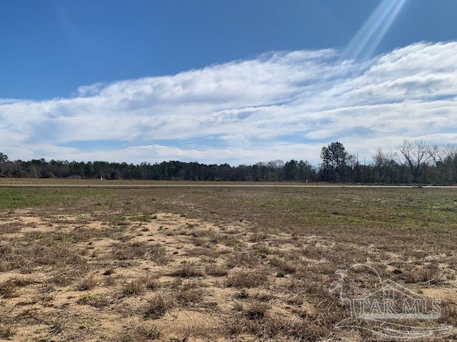 3055 Cowpen Creek Road Atmore, AL 36502 - Photo 19 of 20 Gallery Image 19