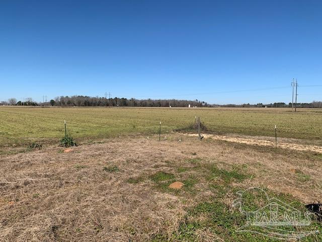 3055 Cowpen Creek Road Atmore, AL 36502 - Photo 20 of 20 Gallery Image 20