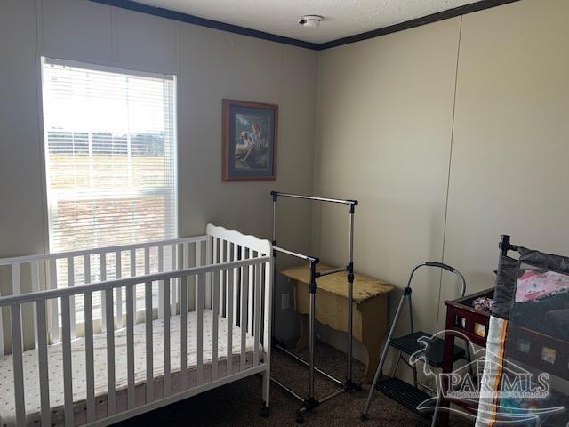 3055 Cowpen Creek Road Atmore, AL 36502 - Photo 10 of 20 Gallery Image 10