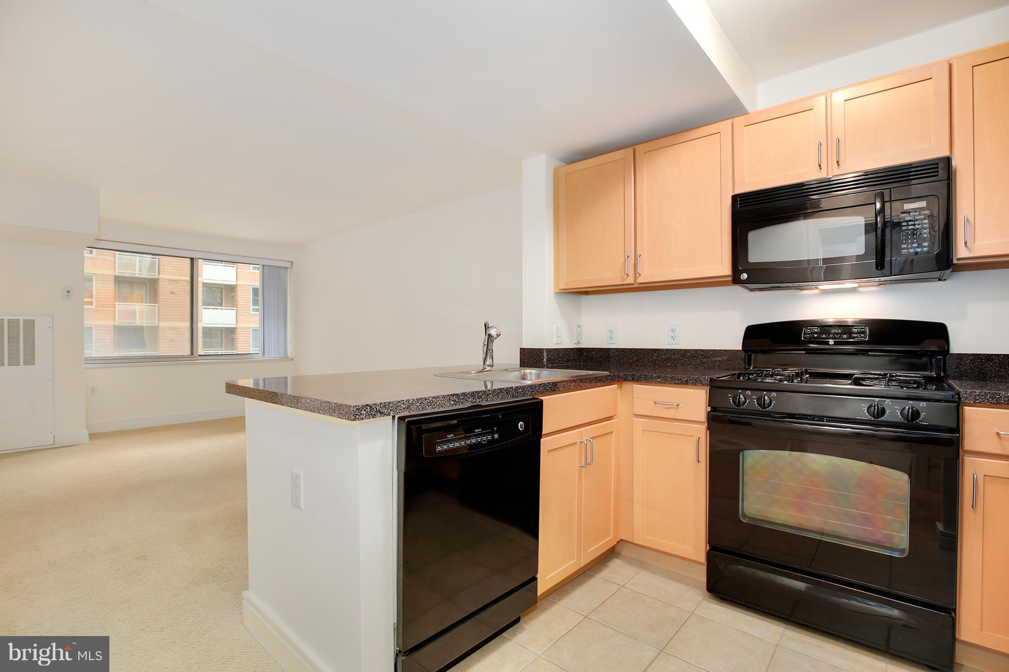 800 4th Street Southwest, Unit S113 Washington, DC 20024 - Photo 3 of 22 a kitchen with stainless steel appliances granite countertop a stove microwave and sink