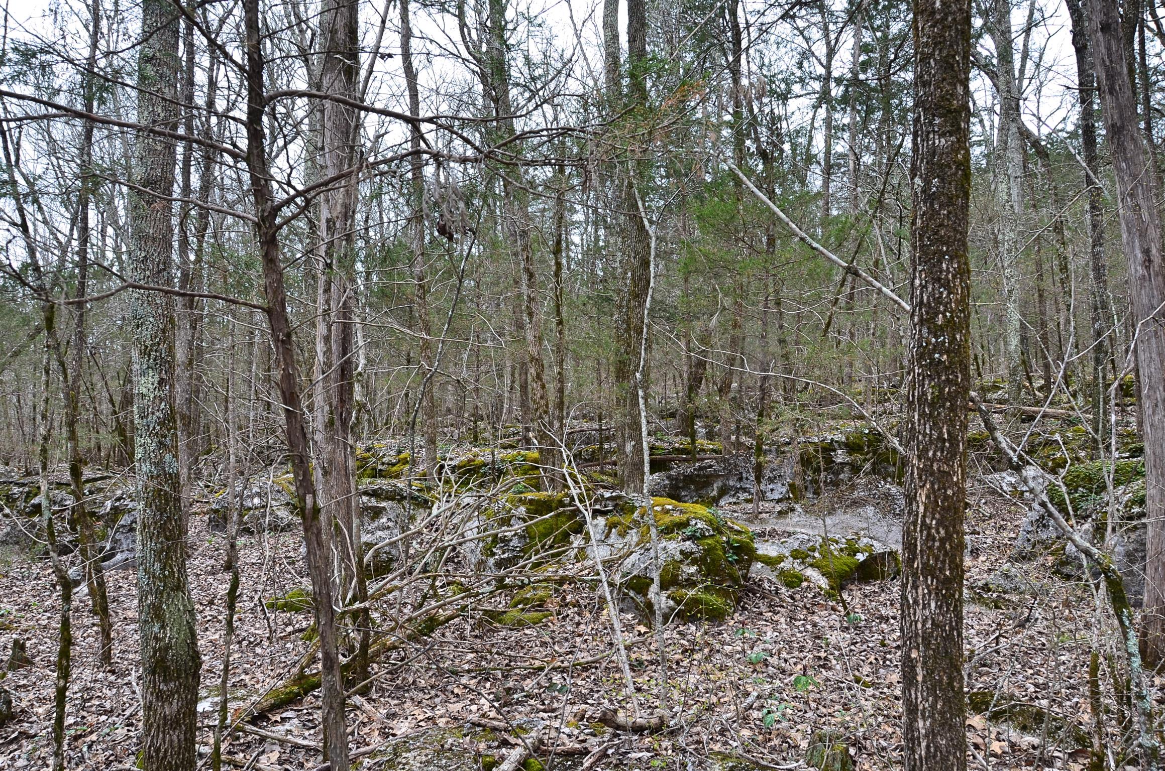 0 McElroy Road Readyville, TN 37149 - Photo 12 of 24 Gallery Image 12