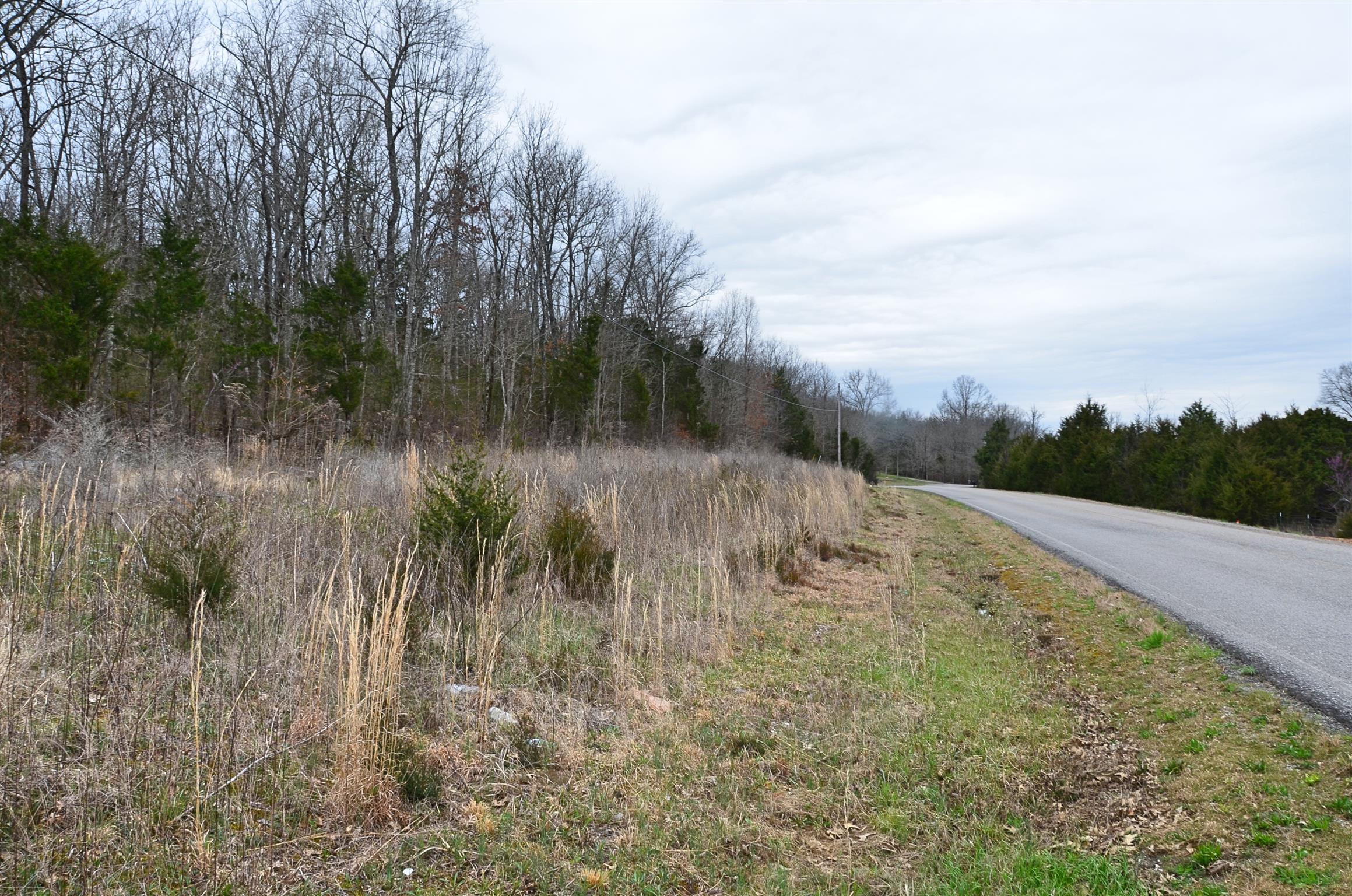 0 McElroy Road Readyville, TN 37149 - Photo 9 of 24 Gallery Image 9