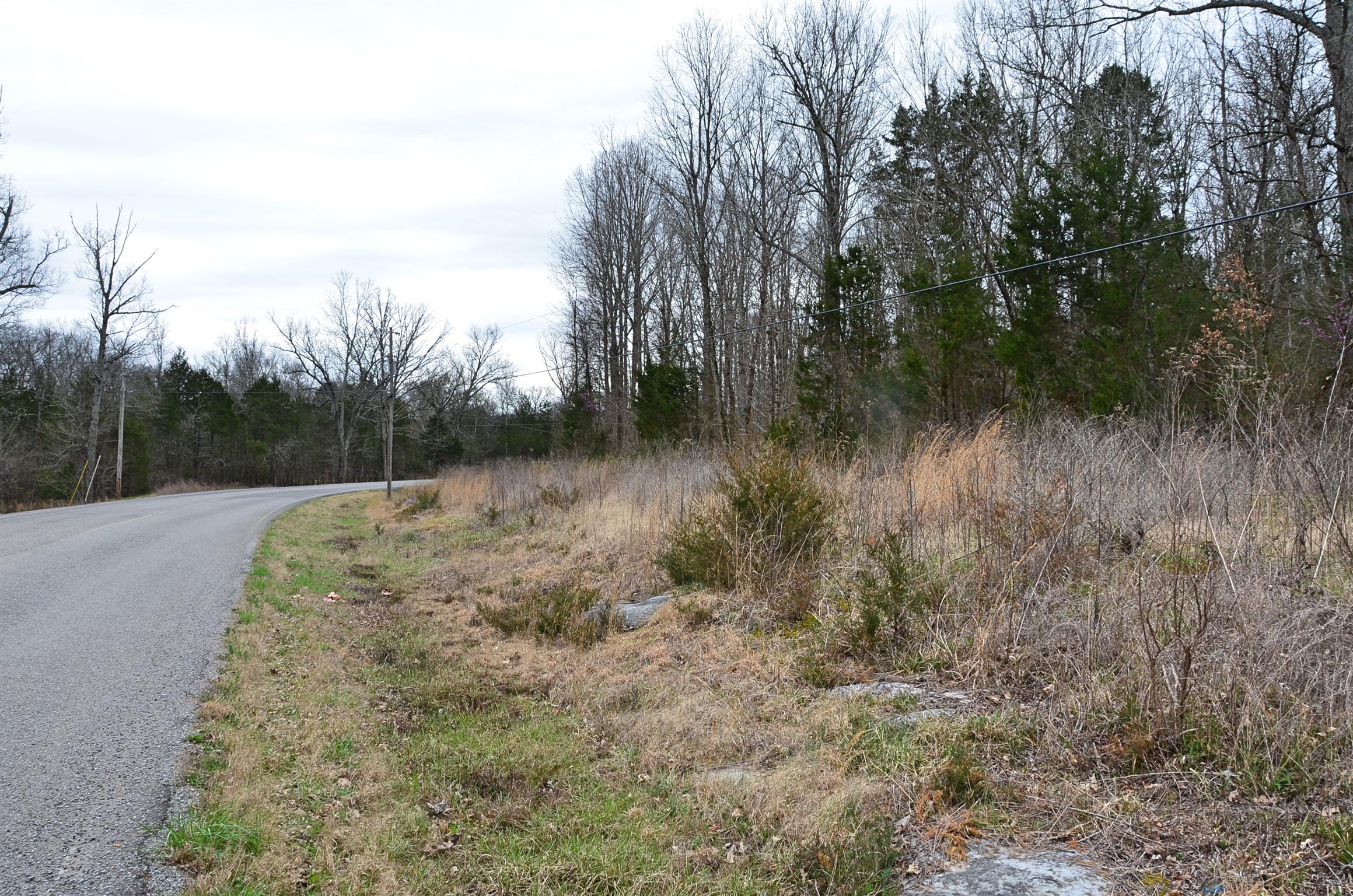 0 McElroy Road Readyville, TN 37149 - Photo 10 of 24 Gallery Image 10