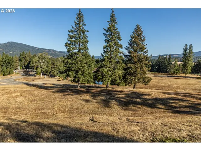 a view of a yard with a tree