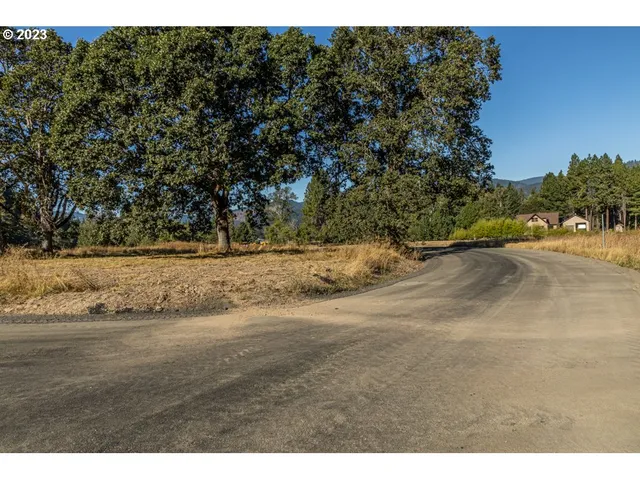 a view of a yard with a tree
