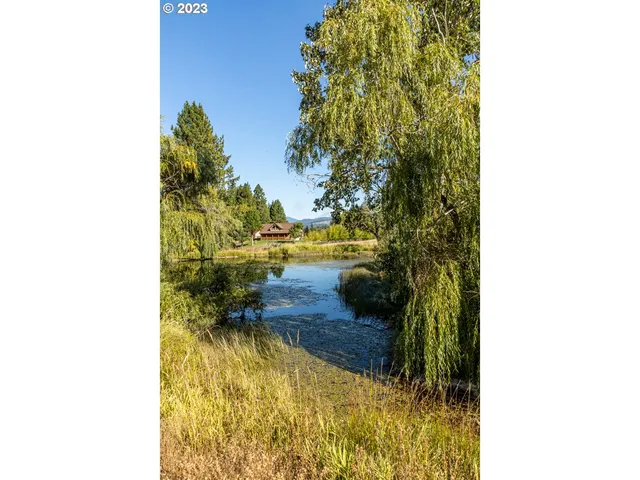 a picture of a floor to ceiling window and tree