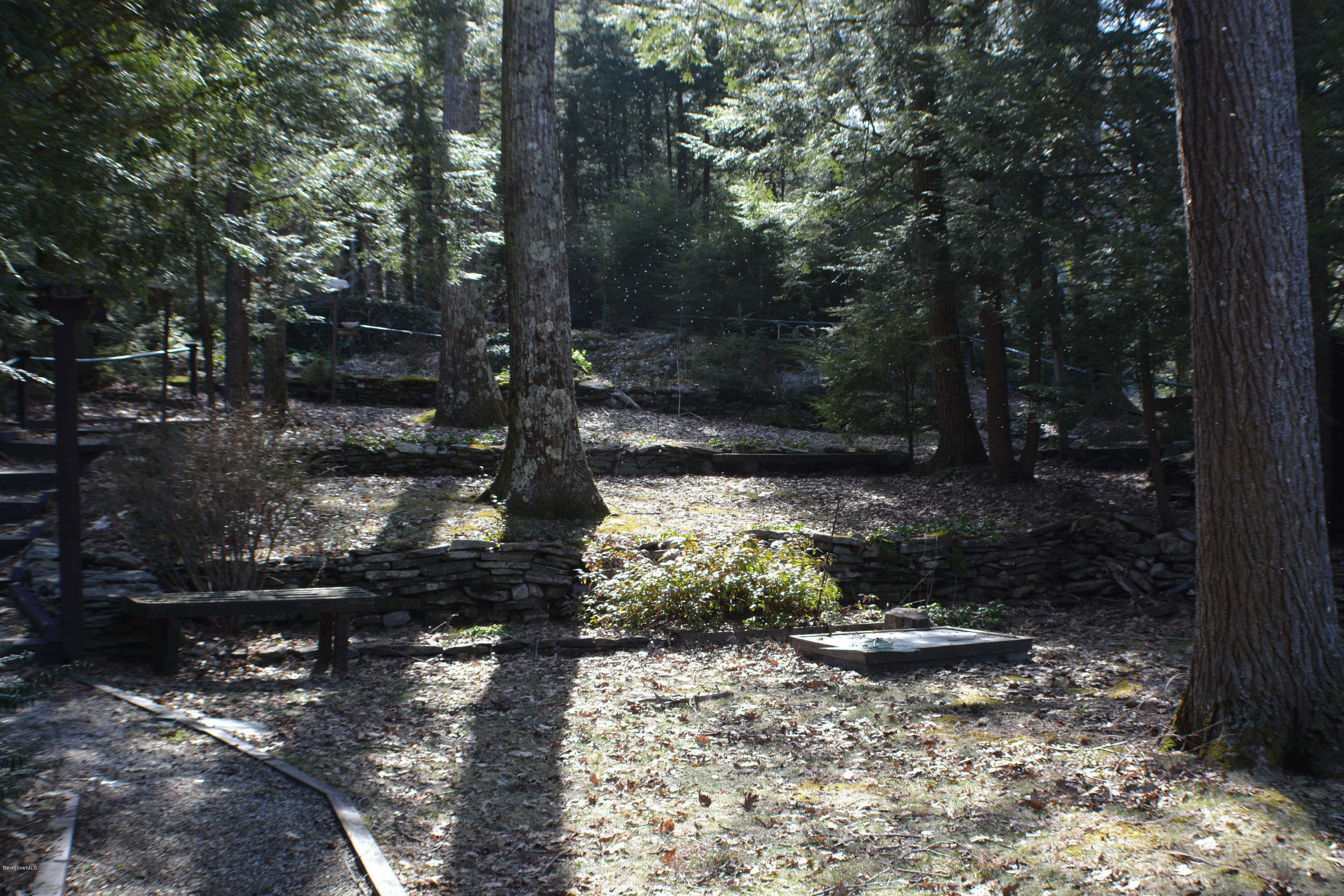 116 Leonard Road Otis, MA 01029 - Photo 7 of 12 Land